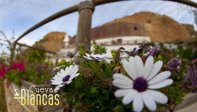 Foto de Alquileres Vacacionales Cuevas Blancas