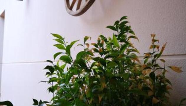 Foto de Casa Rural Los Naranjos