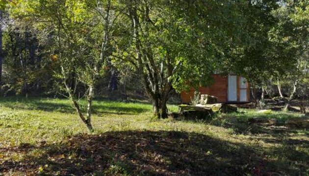 Foto de Camping Agricampeggio Madonna di Pogi