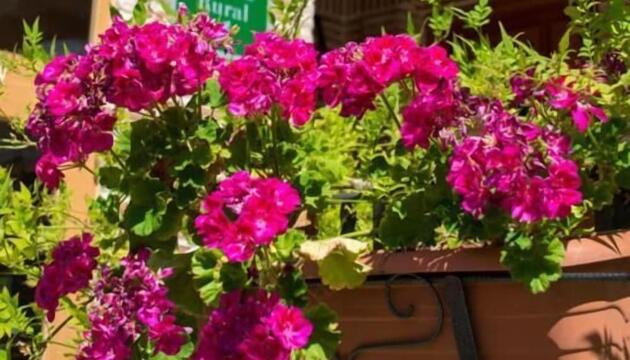 Foto de Apartamentos Alojamientos Rurales La Aldaba