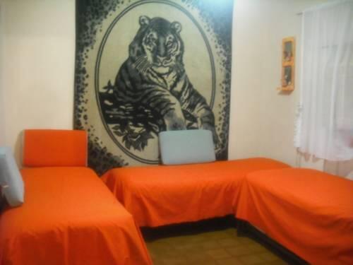 Foto general de Apartamentos Los Troncos