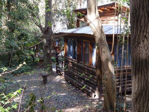 Room – Las Terrazas Resort &amp;amp; Apart-Cabañas
