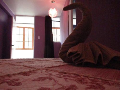 Foto de una habitación de Dream House