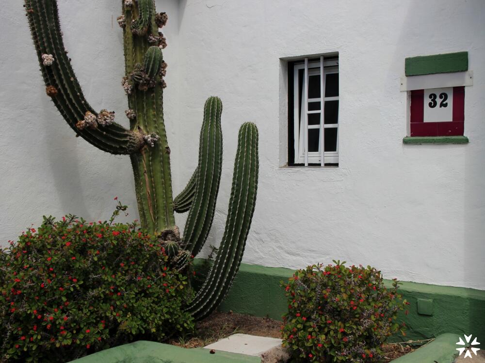Foto del exterior de Camping Vista Oasis