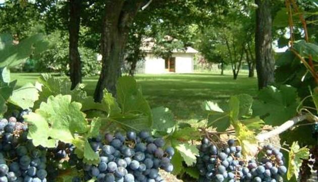 Foto - Bed-and-Breakfast Domaine Maison Dodo