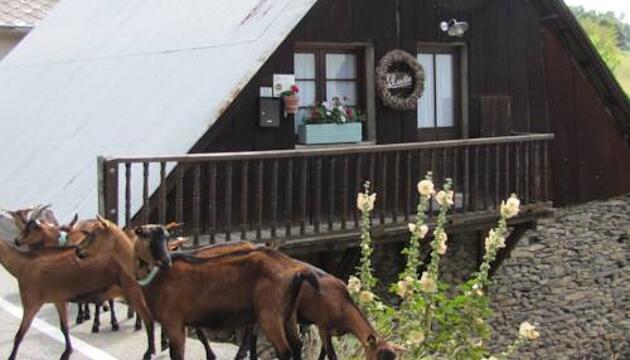 Foto de Chalet L&apos;aurelie