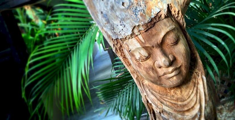Photo – Campsite Bamboo Bali Bonaire