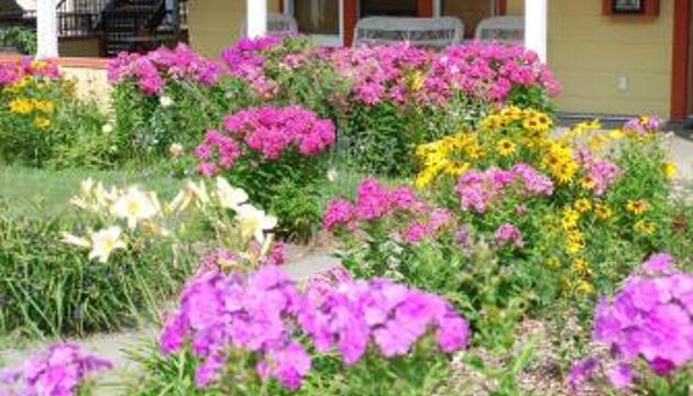 Photo – Victoria Falls Guest House