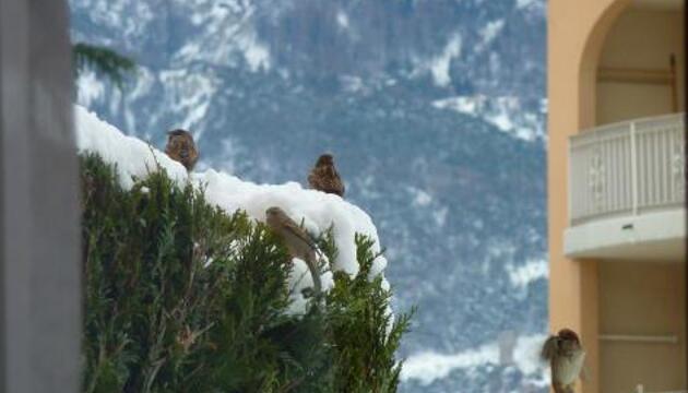 Photo - Locations de vacances Geranium Gift-particulair