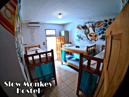 Foto de una habitación de Slow Monkey Hostel