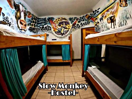 Foto de una habitación de Slow Monkey Hostel