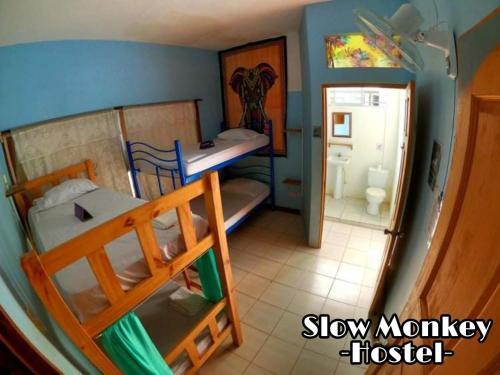 Foto de una habitación de Slow Monkey Hostel