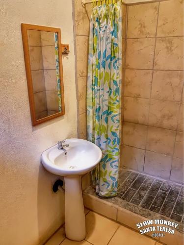 Foto de una habitación de Slow Monkey Hostel