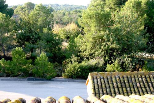 Foto del entorno de Bed-and-Breakfast Valencia Country House