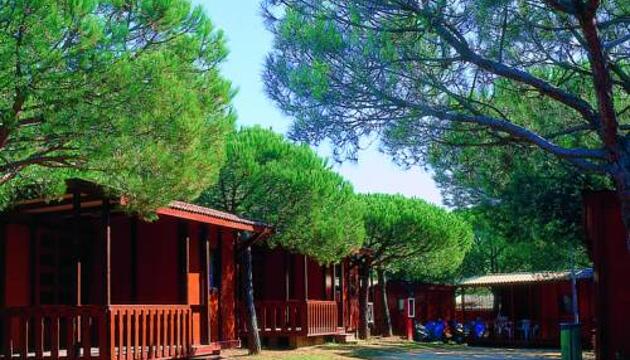 Foto de Camping Internacional Palamós