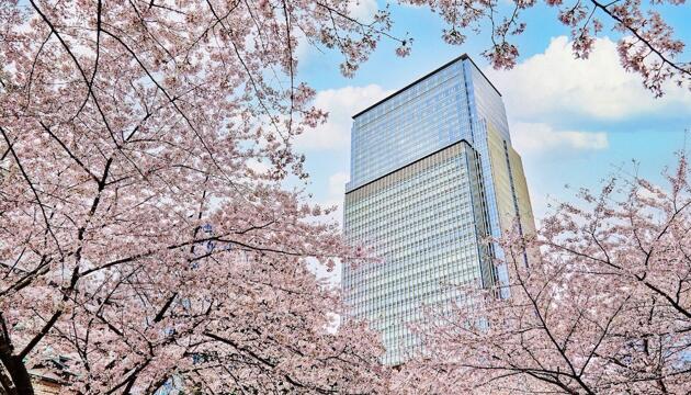 Foto de Hotel Mandarin Oriental Tokyo