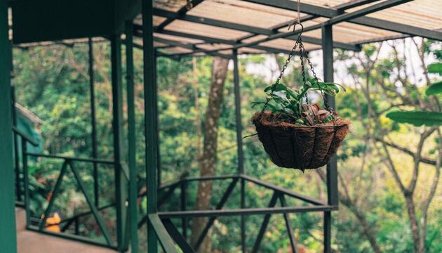 Foto de Hotel Jardines de Monteverde