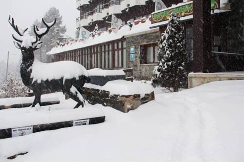 Foto general de HOTEL AMORETES