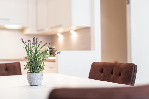 Room – Apartments Residence Regent 55
