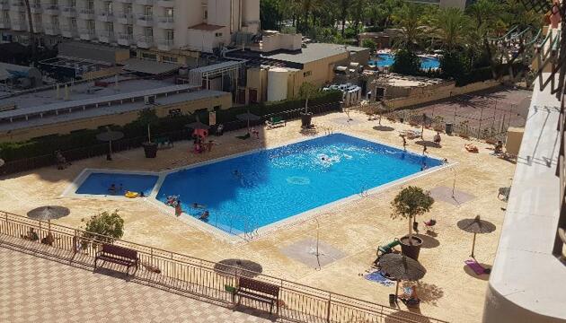 Foto de Alquileres Vacacionales Acuarium 3-Fincas Benidorm