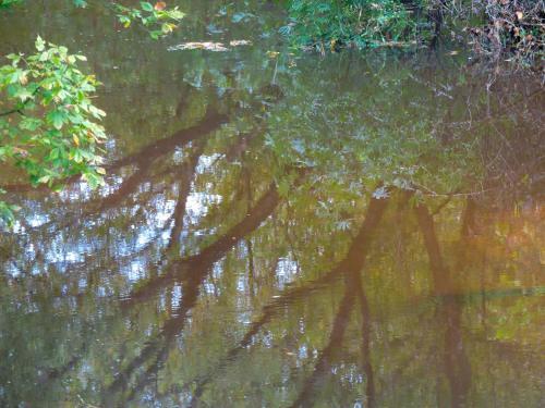 Foto general de Hosteria Sans Souci