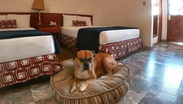 Photo – Gran Hotel Mexico
