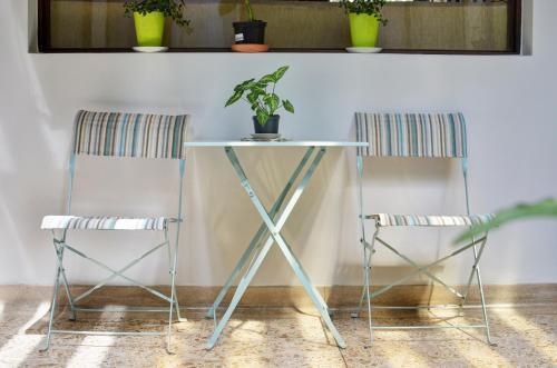 Foto de una habitación de Ivy Hostel