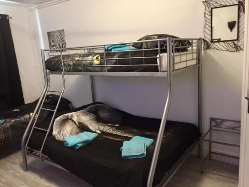 Foto de una habitación de Bed-and-Breakfast Au Nid de Tillé