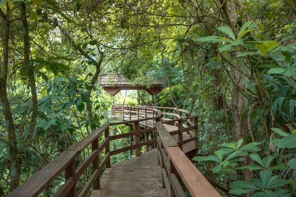 Foto general de Sweet Songs Jungle Lodge