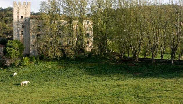 Foto de Apartamentos Château d&apos;Esparron
