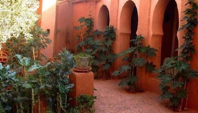 Photo – Bed-and-Breakfast Kasbah Ait Moussa