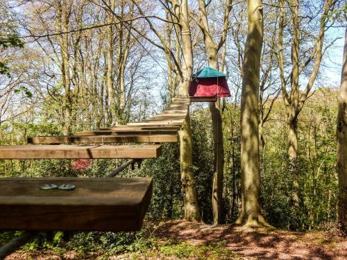 Foto general de Camping Woody Park