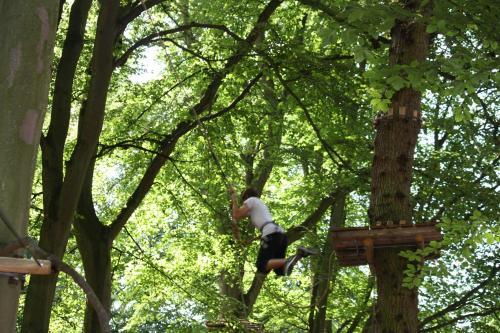 Foto general de Camping Woody Park