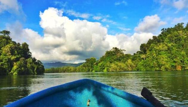 Foto de Hotel Acuali Nuqui