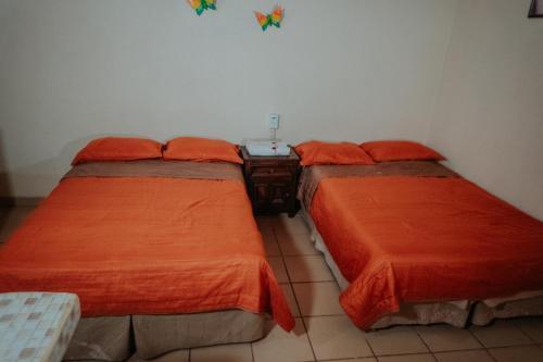 Foto de una habitación de Bungalows Flamingos