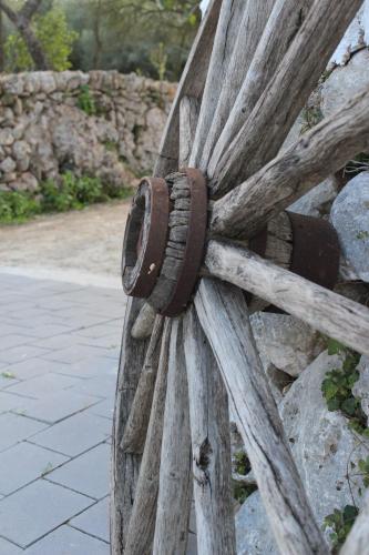 Foto general de Agroturismo Santa Mariana