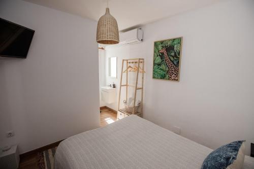 Quarto - The Monkey Room