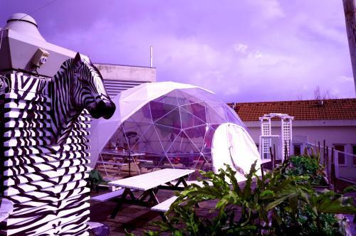 Foto del exterior de Sunset Destination Hostel