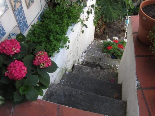 Foto de una habitación de Alquileres Vacacionales Oliveirinha