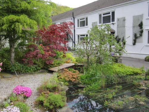 Exterior – Cwmbach Guest House