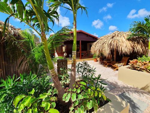 Room – Campsite Bamboo Bali Bonaire