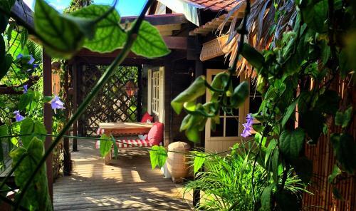 Exterior – Campsite Bamboo Bali Bonaire