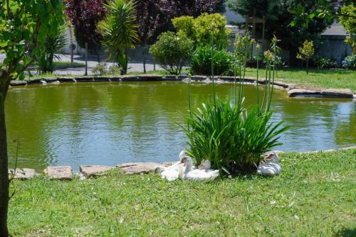 Foto general de Hotel Sundial Gardens &amp;amp; Suites