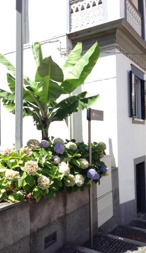 Foto del exterior de Holidays Madeira