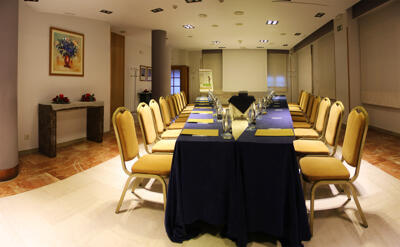Foto de los servicios de Silken Torre Garden