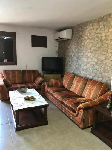 Foto general de Casa Elisa Canarias