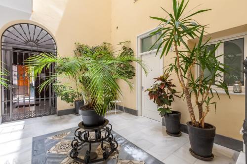 Foto general de Apartamentos Mariscal