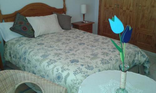 Foto de una habitación de Apartamentos Rascafria Cerquilla