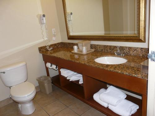 Foto del baño de Hotel Comfort Inn Fort Myers Northeast