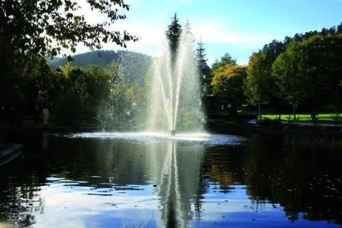 Foto general de Hotel Schwarzwaldhof